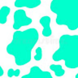 Meet your Posher, Sinai